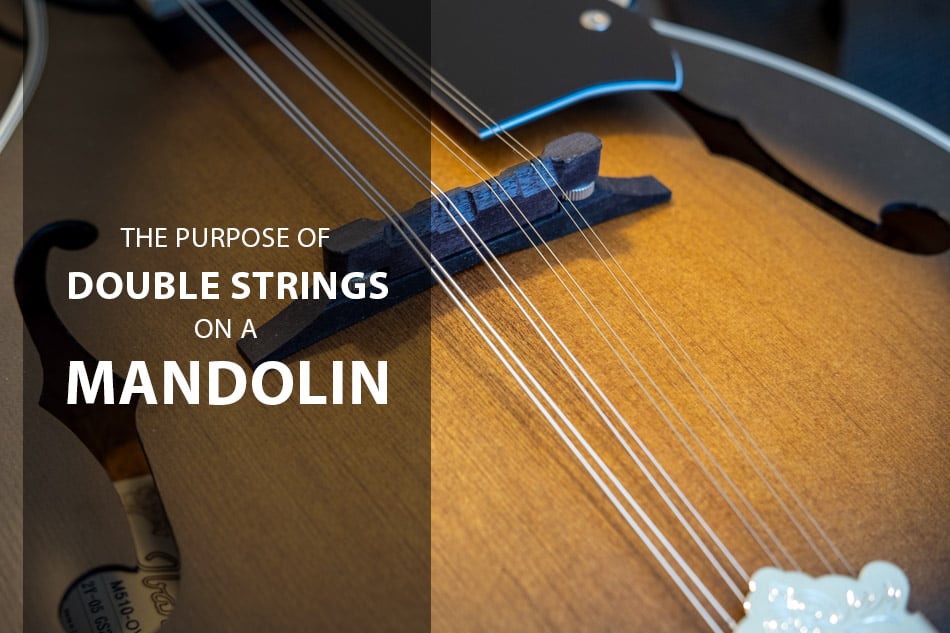 Close up of double strings on a mandolin