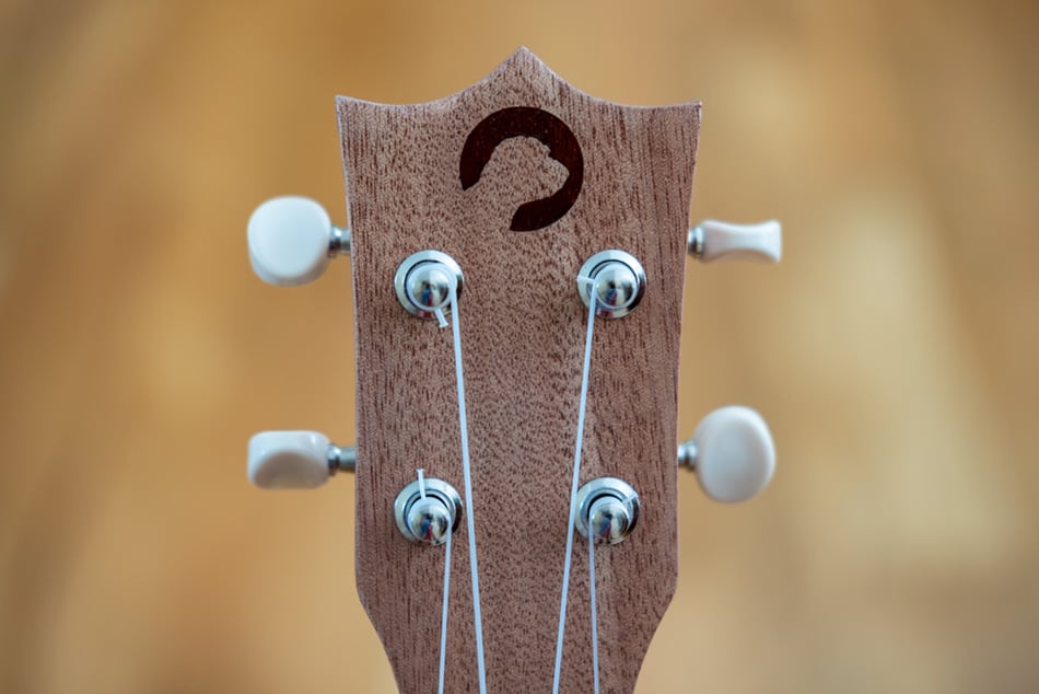 Logo on ukulele headstock