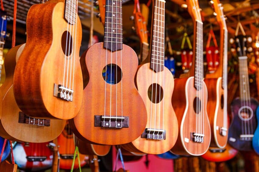 Ukuleles of different sizes hanging in music store